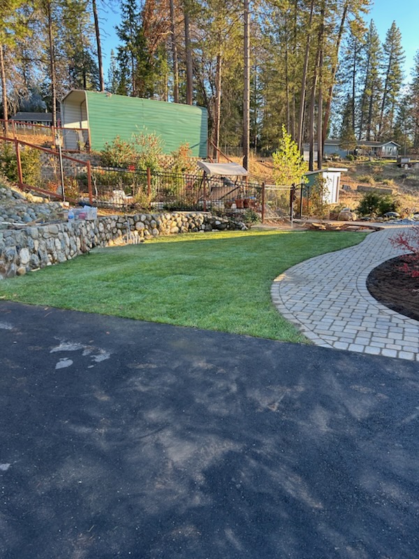 Landscaping Sod